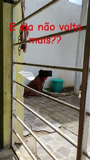 #mashup #roblox #dance #memes #music #duet #mm2 #funny #dj #edit