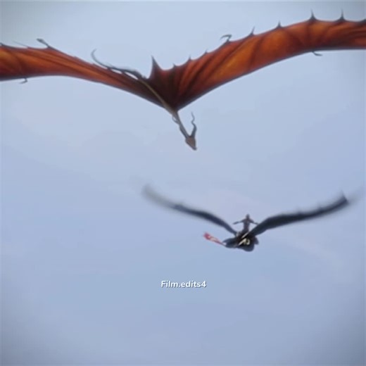 Timberjack vs Typhoomerang: Dragon Comparison