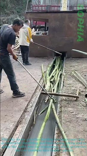 Bamboo Shredding Machine: Turning Cane Into Raw Material Fast!