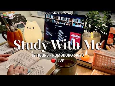 Challenge | 12 HR STUDY WITH ME • Pomodoro 50/10 | Relaxing Fireplace Sound