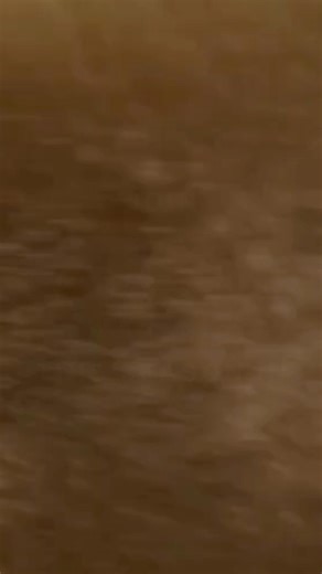 The countdown is over and the 2026 FRC Season REBUILT is finally here! 📆 We know today will be full of surprises, strategy, and brainstorming and we wish all of you the best of luck. We can't wait to see what you build! #REVRobotics #firstroboticscompetition #stemeducation #roboticseducation | REV Robotics