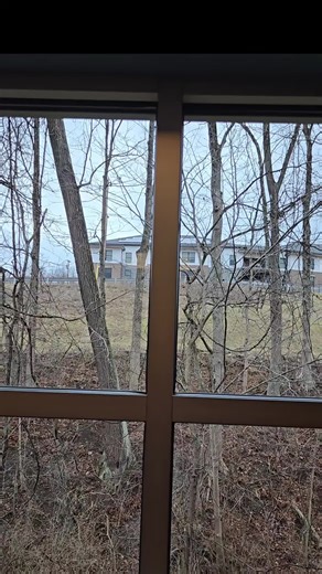 Cannot get enough of Stranger Things? We have numerous show references available here for you to check out. Plus plenty of Stranger Things books to fill that void. #suportpubliclibrary #strangerthings #ibelieve