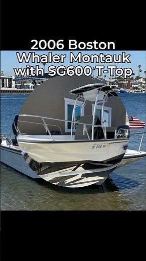 2006 Boston Whaler Montauk with SG600 T-Top