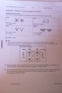 Life Soiences Practical Task 2/Grade 12MOENZ MAY 2023QUESTIO... | Filo