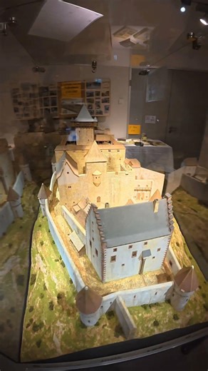 Wachtenburg 🏰 1. Burg 2026 #germany #hikingadventure #pfalz #wanderlust #travel #burg