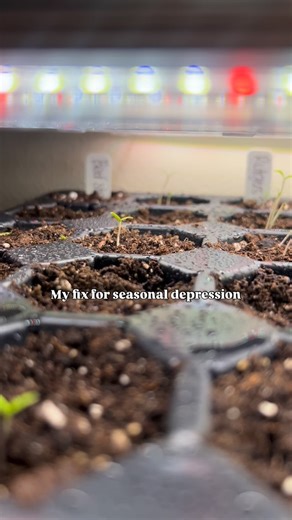 As someone who experiences seasonal depression, I’ve found that growing in the colder months has helped me tremendously! It gives you something to look forward to everyday. You get a sense of purpose when everything feels… blah. Give it a try and see if it helps you as well 🤗 #TheFaithfulSower #MentalHealth #Gardening | Jasmine Reed