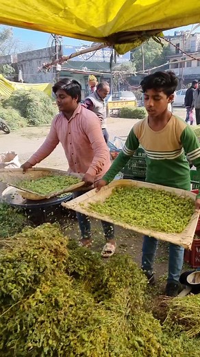 1.1M views · 8.9K reactions | Amazing street food of india #reelsvideo #streetfood #indianfood | BK Collection | Facebook