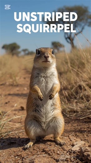 Top 5 Animals Starting With U 🐾 | Strange, Rare & Powerful | A2Z Explorium