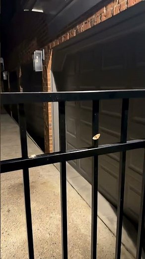 Saw a frog, started singing 😂 ‪@dtayknown‬