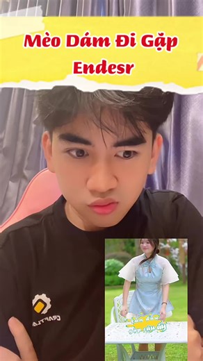 Mèo, Em Dám Như Vậy À Trong Garena Free Fire