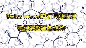 swiss model进行同源模建构造完整蛋白结构
