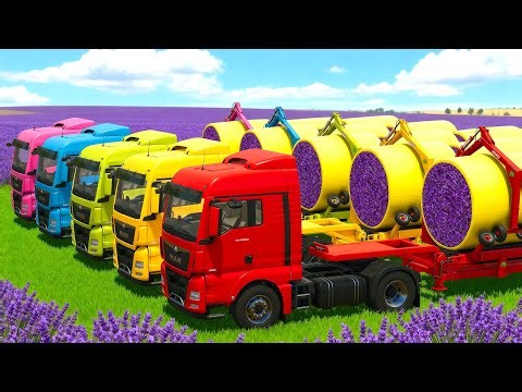 HARVEST AND MAKE LAVENDER BALES WITH RIGITRAC TRACTORS in Farming Simulator 25 🪻🚜