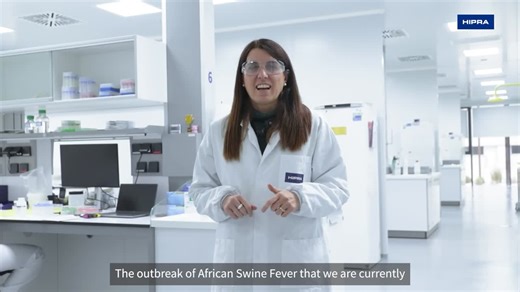 #asfv #onehealth #animalhealth #africanswinefever | HIPRA