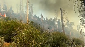 Home in the Sierra. The crew is back from R&R and available nationally after finishing our 5th roll of the season working the Garnet Fire -Sierra National Forest. #cranevalleyhotshots #us_hotshots #dirtybirds #garnetfire #sierranationalforest #wildfire | Crane Valley Hotshots