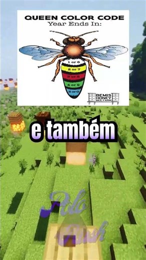 Rushando Shorts #546 #shorts