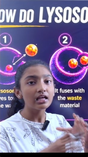 How do Lysosomes work? #class8science #sciencesagabyshagun #lysosome