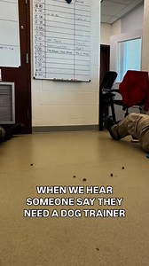 12K views · 125 reactions | Look no further ... Our Alexandria Animal...