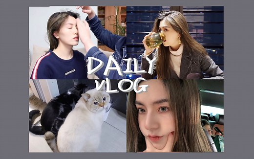 •BB• VLOG | 一期平淡如水VLOG | 姐妹让我成为变装皇后 | 小型动物世界纪录片 | 舞台走秀 | 阿B小剧场 等等