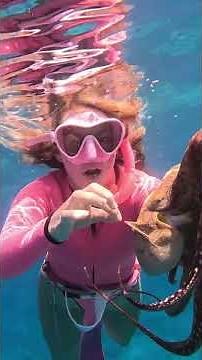 Saving an Octopus from a Sea Urchin!