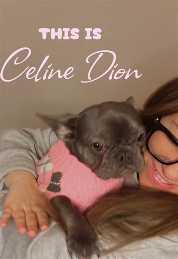 Essential Tips and Tricks for French Bulldog Care