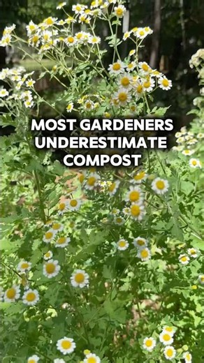 How to use compost in my garden 🪴 read more in description ⬇️