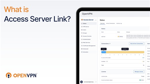 What is Access Server Link