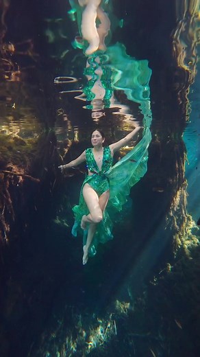 Transformative Underwater Photography Journeys
