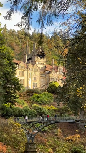 Beautiful day in Northumberland ✨ #cragside #cragsidehouse #cragsidehouseandgardens #cragsidenationaltrust #autumn #northumberland | Nathalie Runge