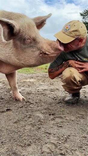 14K views · 1.4K reactions | Around here, mud is a love language. And...