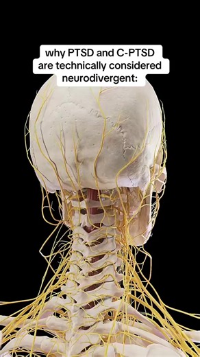 Understanding PTSD and CPTSD: Key Insights