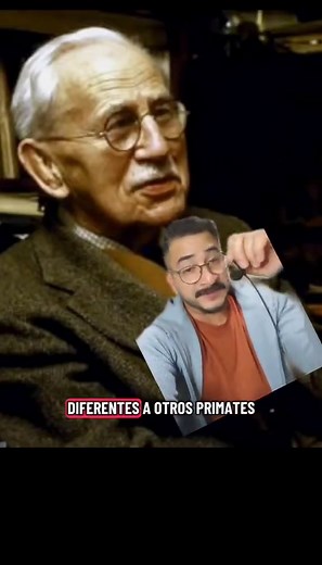 La Hipótesis del Simio Acuático: Curiosidades y Teorías