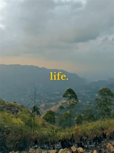 Mindset Makes Everything. #motivation #dothingsyoudontwanttodo #changeyourmindsetchangeyourlife