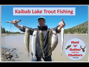 Best Way to Catch Fish at Kaibab Lake - Shore Fishing - Best Arizona Trout Lake - Williams Flagstaff