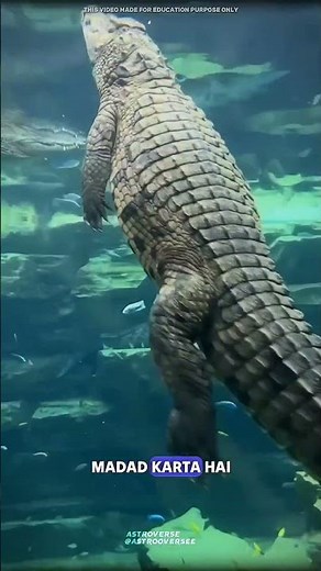 Eye plica #science #sciencefacts