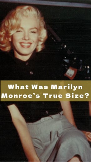 What was Marilyn Monroe’s true size? This is one of the questions most often asked about Marilyn. The general public wants to know: Was she plus sized? (Denoting or relating to clothes of a size larger than those found in standard ranges.) The answer to that question is unquestionably no. While her weight varied throughout her life, (like most people), available documentation verifies Marilyn’s height and weight at several different times during her life, and her first modeling contract verifies