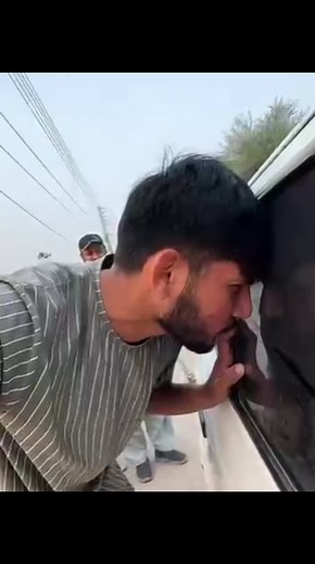 Hammad Pet House: Caring for Your Horses and Pets