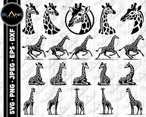 Giraffe Vector Bundle (svg, Png, Eps, Dxf), Commercial Use (digital Download) - Etsy Canada