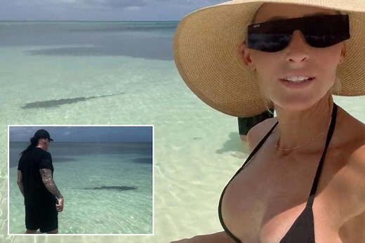 The Undertaker protects wife Michelle McCool from shark in bizarre encounter