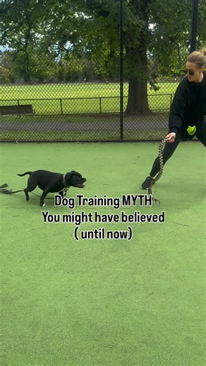 Playing with Your Dog Makes Them more aggressive! One of the most common myths in dog training is that playing with your dog can make them more aggressive. Aggression in dogs can manifest for various reasons, including fear, territorial instincts, and a lack of socialisation. It’s important to recognize that aggression is often a response to stress or anxiety, not a byproduct of playful interaction. Playing with your dog doesn’t incite aggression; instead, it helps them learn healthy ways to exp