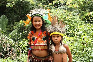 Amazon Rainforest: People & Threats (Grades 2-5)