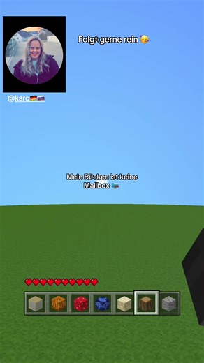Rücken-Mailbox: Ein kreatives Minecraft-Zitat