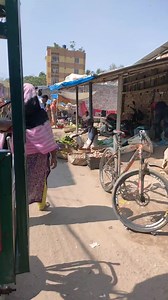 A random day of my regular life. #random #life #video | Anni Aktar