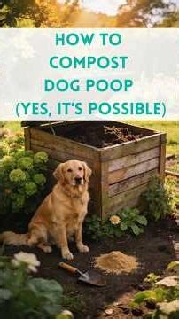 How to Compost Dog Poop (Yes, It's Possible).