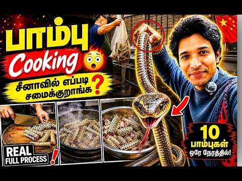 சீனாவில் உயிரோட பாம்பை 🐍 எப்படி சமைக்குறாங்க? 😳 | Snake Cooking Full Process 🐍🔥#chinavlog