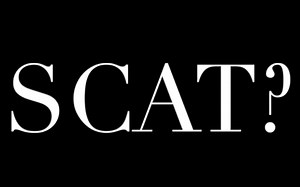 什么是SCAT？？？！一起了解一下吧