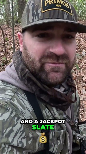 Jackpot Turkey Hunt Epic WP1 Takedown! #speakthelanguage #hunting #turkey #spring