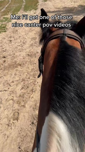 Happy Saturday✌🏼😂 #hackingfail #oldhorseproblems #irishsportshorse #equestrianfail