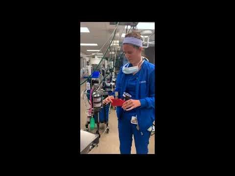 VEM 5402L: Anesthesia Machine Setup