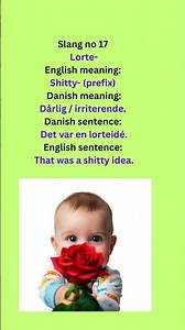 Danish Slang #17: “Lorte-” – The Power of a Shitty Prefix! 🇩🇰💬 #learndanish #DanishSlangs