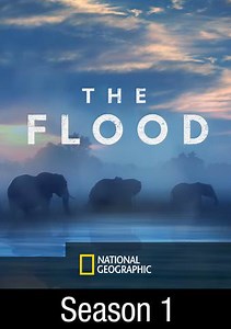 The Flood: A World Reborn